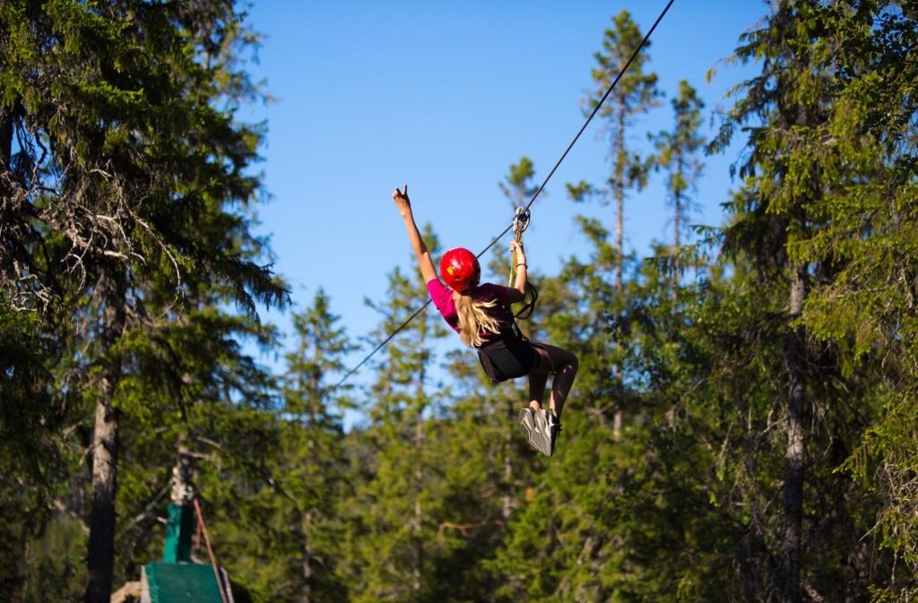 Zipline door het bos